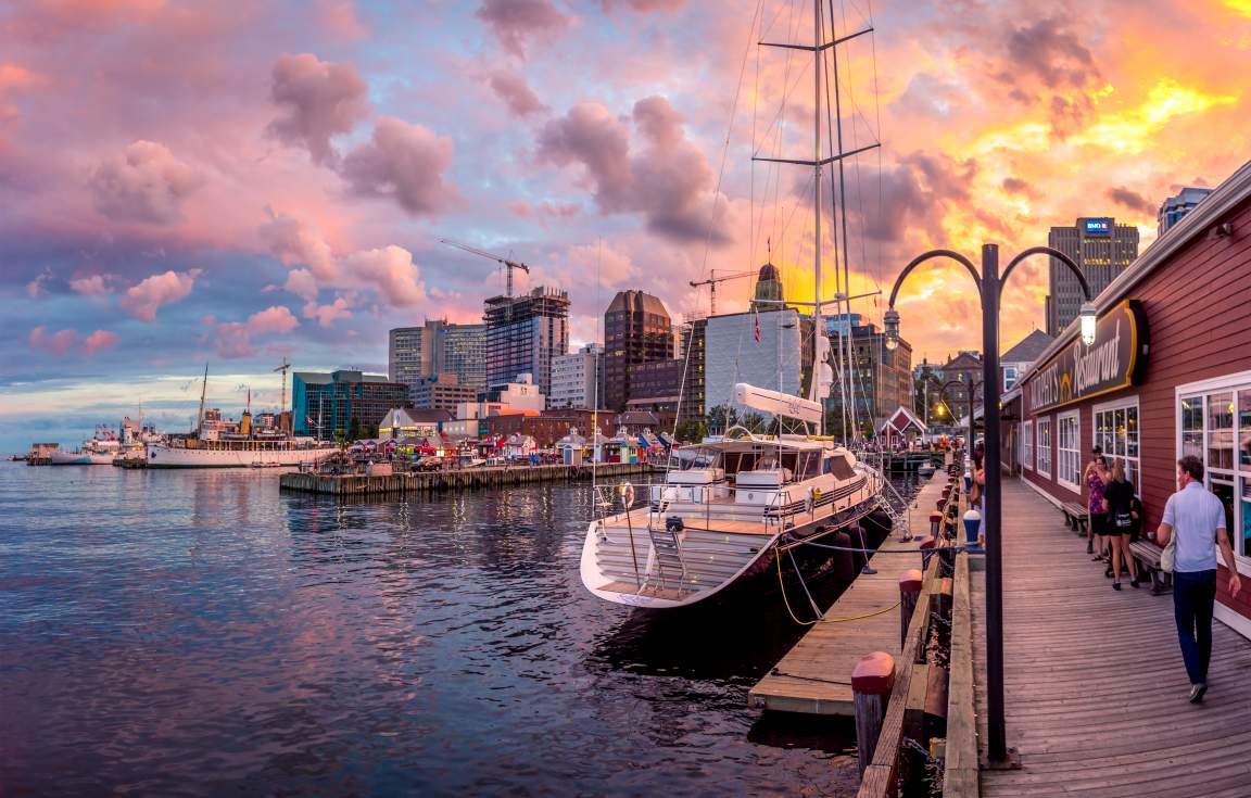 Halifax Whale Watching Canada First Class Holidays